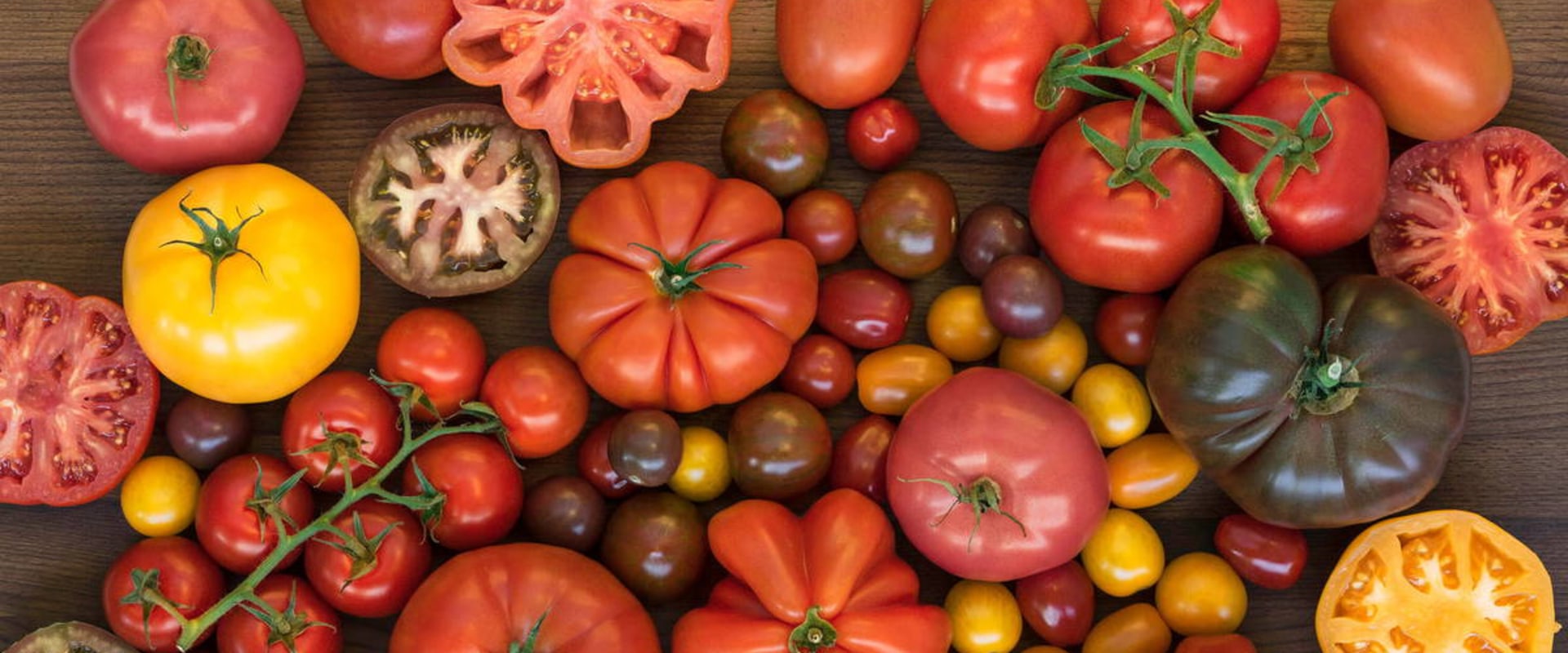 All About Tomatoes: A Guide to Authentic Mediterranean Cuisine