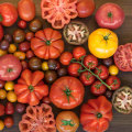 All About Tomatoes: A Guide to Authentic Mediterranean Cuisine