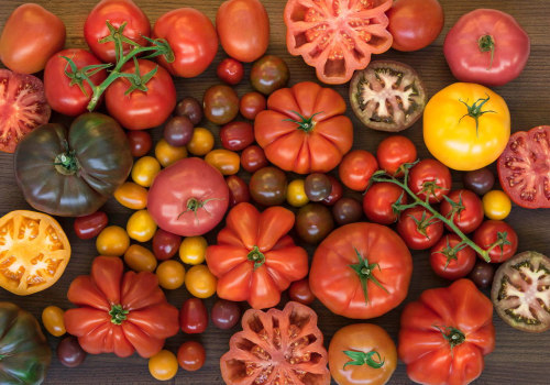 All About Tomatoes: A Guide to Authentic Mediterranean Cuisine